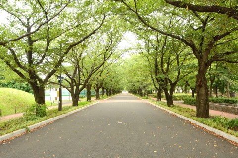 日常英会話の表現 道をたずねる Part 1 真美といっしょに英語を話しましょう