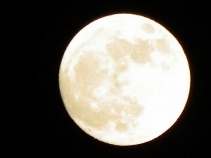 Full Moon 91