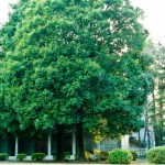 日常英会話の表現例　お手洗いに行く時