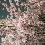 日常英会話の表現例「待ち合わせに遅れる」を英語でなんという？